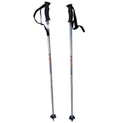 Bâton De Ski Rossignol Rental Intersport