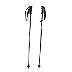 Bâtons De Ski Dynastar CFK Race