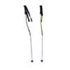 Bâtons De Ski Fischer RC4 -Head || Rossignol || Salomon Soldes batons de ski fischer rc4