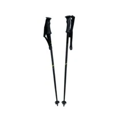 Bâtons De Ski Fischer Worldcup SL -Head || Rossignol || Salomon Soldes batons de ski fischer worldcup sl 1