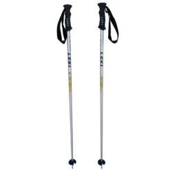 Bâtons De Ski Leki Alu