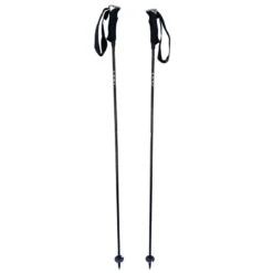 Bâtons De Ski Leki Carbon
