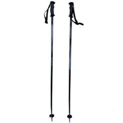 Bâtons De Ski Tecno Pro Carve
