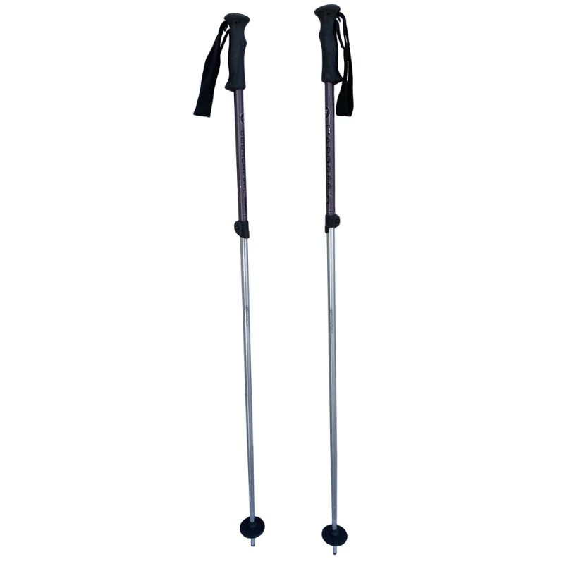 Bâtons De Ski Télescopiques Gipron Courchevel 5 Bâtons De Ski Télescopiques Gipron Courchevel – Image 3