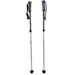 Bâtons De Ski Télescopiques Gipron Courchevel