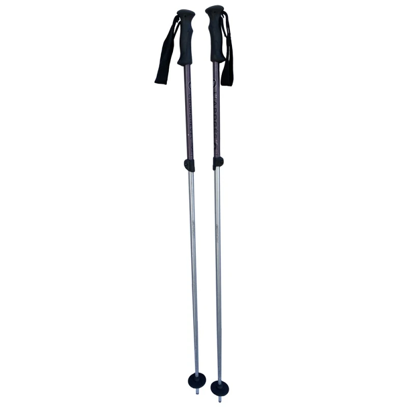 Bâtons De Ski Télescopiques Gipron Courchevel 6 Bâtons De Ski Télescopiques Gipron Courchevel – Image 4