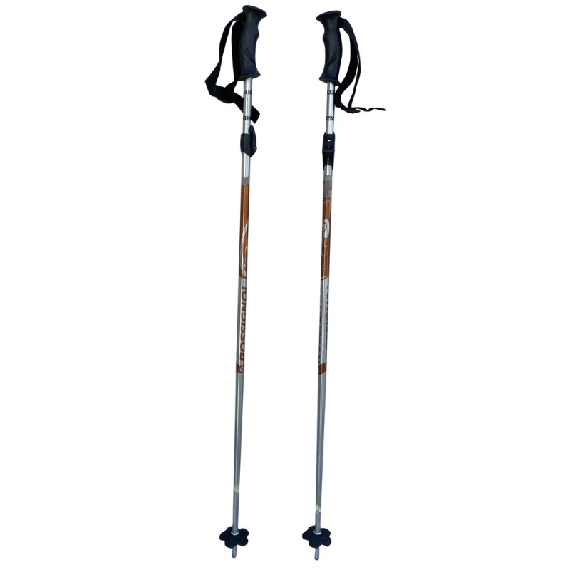 Bâtons De Ski Télescopiques Rossignol Alu Marron 3 Bâtons De Ski Télescopiques Rossignol Alu Marron