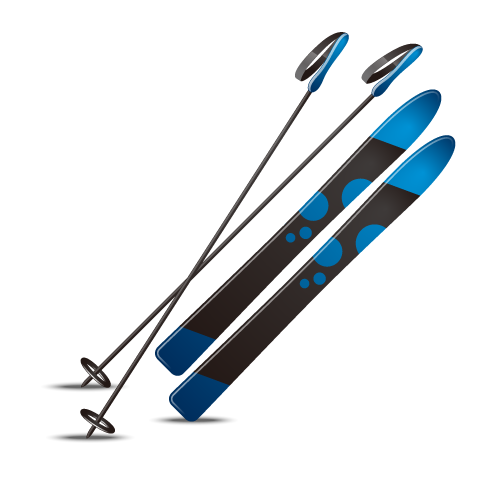 Head || Rossignol || Salomon Soldes